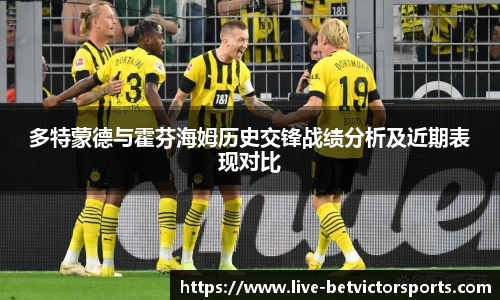 多特蒙德与霍芬海姆历史交锋战绩分析及近期表现对比